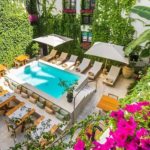 casa-nostra-boutique-hotel.palermohotels.org/